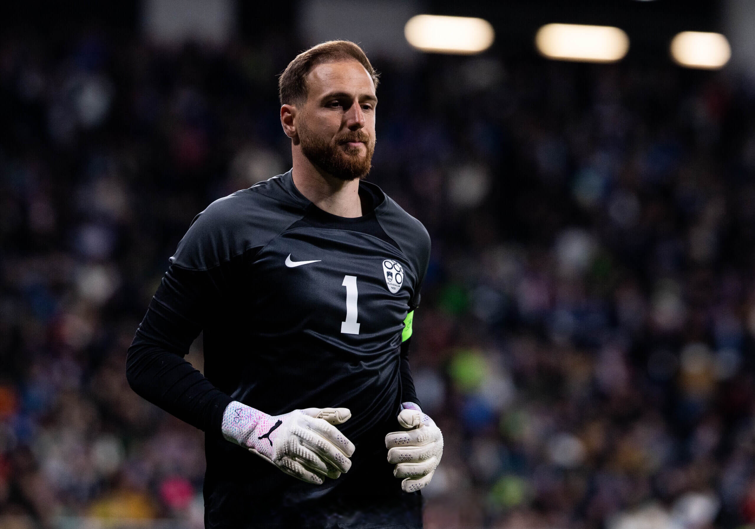 斯洛文尼亚备战欧预赛，冲击晋级备的简单介绍