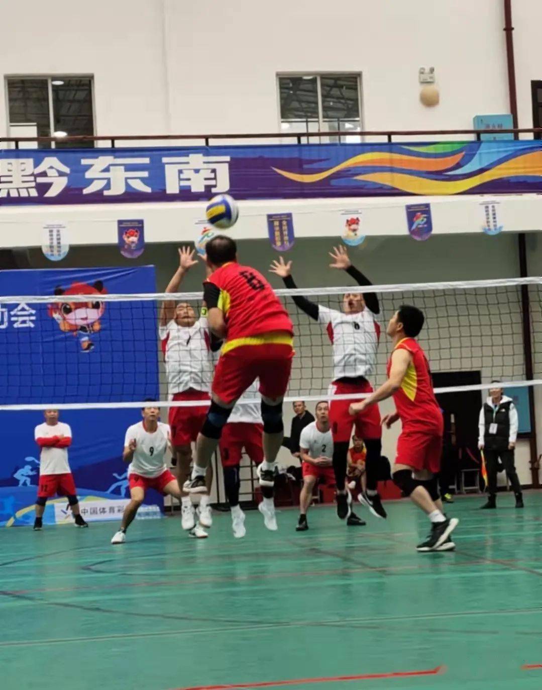 精彩纷呈！荷兰选手集体斩获奖牌