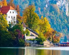 关于斯洛文尼亚新秀喜获佳绩，实力超群的信息