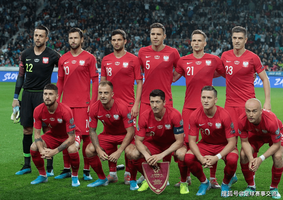 塞尔维亚主场告捷乔维奇建功爱沙尼亚客场失利的简单介绍